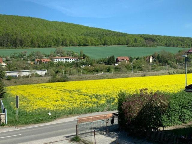 Ferienwohnung Werratal Obermassfeld-Grimmenthal Eksteriør bilde